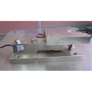 BS-TW 靜載稱重模塊 (250kg-10tf)