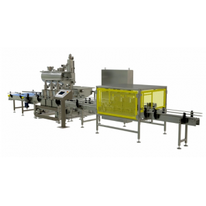 Automatic Net Weight Twin Lane A-B Filling Machine