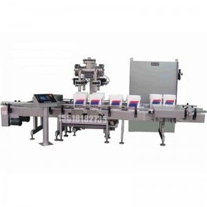 4頭A-B自動凈重灌裝機(jī)